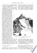 Rivista del Club alpino italiano pubblicazione mensile
