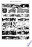 Rivista Italiana Di Paleontologia E Stratigrafia