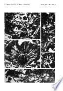 Rivista Italiana Di Paleontologia E Stratigrafia