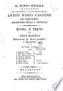 Roma e Terni di lesa maestà ritenzione di armi proibite e spergiuro per la curia e fisco contro Giuseppe Verni ...
