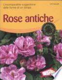 Rose antiche. L'incomparabile suggestione delle forme di un tempo
