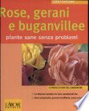 Rose, gerani e buganvillee. Piante sane senza problemi