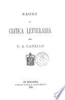 Saggi di critica letteraria