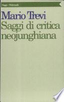 Saggi di critica neojunghiana