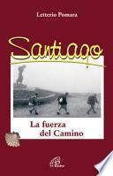 Santiago. La fuerza del camino