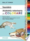 Saunders. Anatomia veterinaria da colorare