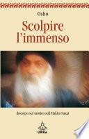Scolpire l'immenso. Discorso sul mistico sufi Hakim Sanai