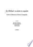 Scríbthair a ainm n-ogaim
