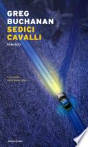 Sedici cavalli