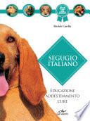 Segugio italiano