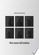 Sei mesi all'ombra