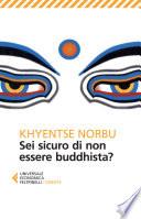 Sei sicuro di non essere buddhista?