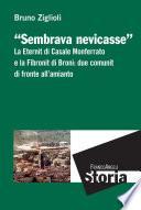 Sembrava nevicasse