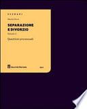 Separazione e divorzio. Questioni processuali
