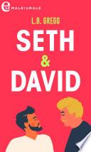 Seth and David (eLit)