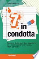 Sette in condotta. Esperienze di vita, valori, idee, suggerimenti per i giovani volenterosi di leggere, lottare, crescere