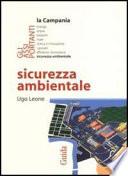 Sicurezza ambientale