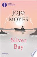 Silver Bay