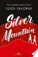 Silver mountain