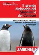 Sinonimi e contrari