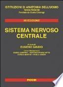 Sistema nervoso centrale