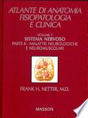 Sistema nervoso