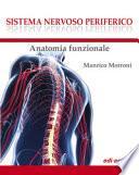 Sistema nervoso periferico. Anatomia funzionale