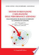 Sistemi di rilevazione e misurazione delle performance aziendali
