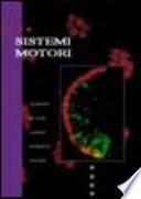 Sistemi motori