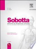 Sobotta altante di anatomia umana. Testa, collo, arti superiori, torace, addome, pelvi, arti inferiori