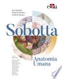 Sobotta. Anatomia umana