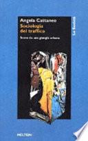Sociologia del traffico