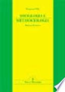 Sociologia e metasociologia