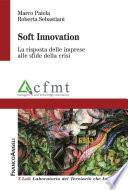 Soft Innovation. La risposta delle imprese alle sfide della crisi