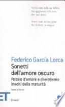 Sonetti dell'amore oscuro. Poesie d'amore e di erotismo. Inediti della maturità. Testo spagnolo a fronte