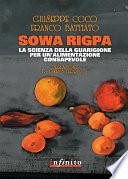 Sowa Rigpa