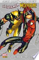 Spider-Man e Wolverine