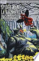 Spider-Man: la ragnatela ingarbugliata