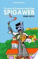 Spigaweb 2000-2010, 10 anni di Cosenza nella Rete