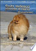 Spitz tedesco piccolo e nano (Pomeranian). Spitz forever