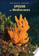 Spugne del Mediterraneo