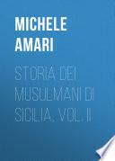 Storia dei musulmani di Sicilia, vol. II