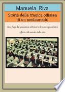 Storia della tragica odissea di un neolaureato