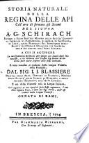 Storia naturale della regina delle api