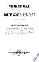 Storia naturale e coltivagione dell'ape/ Michele Balsamo Crivelli