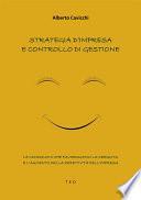 Strategia d'impresa e controllo di gestione