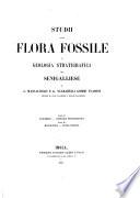 Studii sulla flora fossile e geologia stratigrafica del Senigalliese