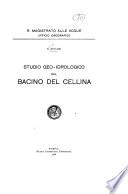Studio geo-idrologico del bacino del Cellina