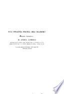 Sull'influenza politica dell'islamismo Memoria decimaterza letta nelle adunanze del 25 giugno e del 9 luglio 1857 dell'Istituto medesimo