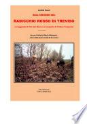 Sull'origine del radicchio rosso di Treviso